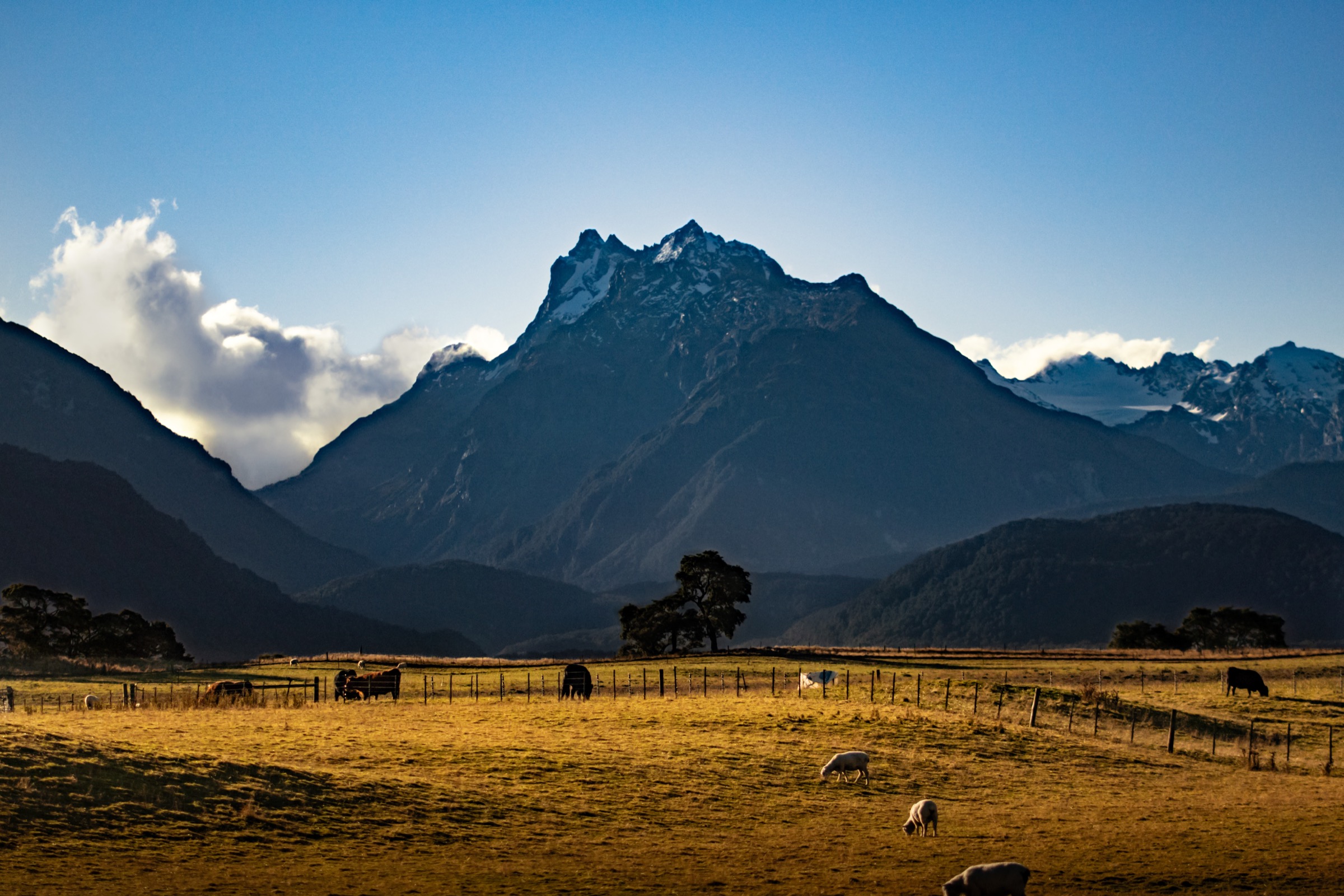 Paradise Glenorchy fine art print by Amalia Remus